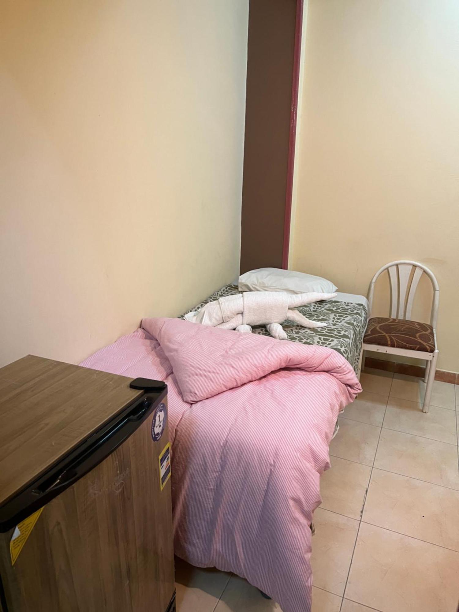 Elphardous Hotel Λούξορ Εξωτερικό φωτογραφία